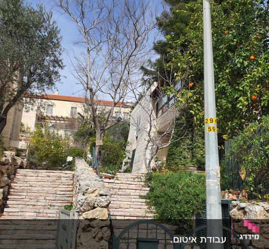 שער וגדר אבן עם מדרגות ועץ בחצר
